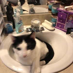 Meet your Posher, April